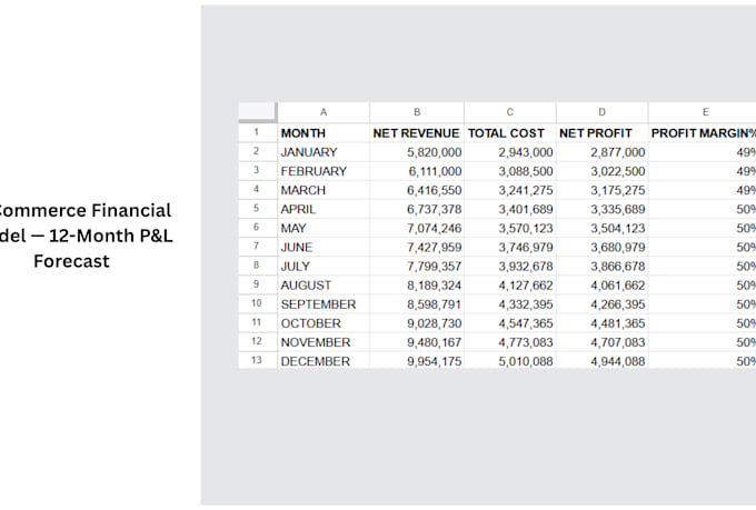 build a professional ecommerce financial model in excel